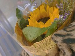 -艾薯夫妇Aysh(福田星河COCOPark店)