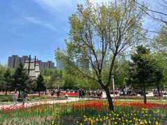 -长春公园(普阳街道)