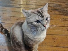 -雕刻时光·咖啡·酒吧·西餐(香山店)