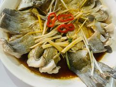 -煲来饱去冷水鱼