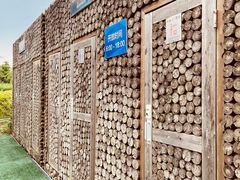 -春花秋色城市公园