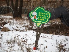 -参仙谷生态旅游度假区