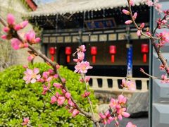 -乔家大院文化园区
