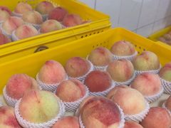 -老袁家蜜桃农场·阳山水蜜桃