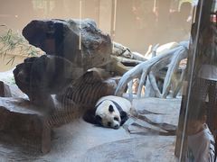 -宁波野生动物园