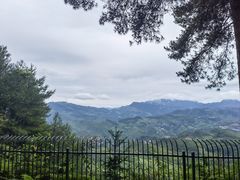 -重庆睡佛山森林公园