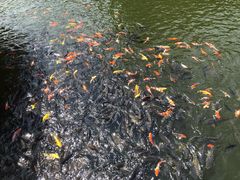 -参仙谷生态旅游度假区