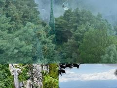 -苍山感通索道