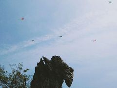 -贡湖湾湿地公园