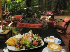 -Fern Forest Cafe