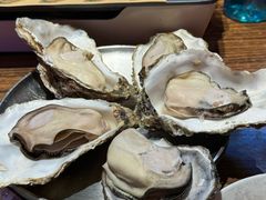 -蚝堡海鲜·威海菜·海肠捞饭·烧烤·亚洲吃蚝公司(幸福门店)