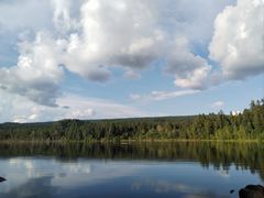 -五营红松林海景区