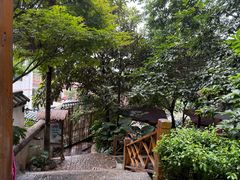 -云涛森林温泉
