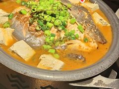 鲜青椒爽麻烤鱼-探鱼·鲜青椒爽麻烤鱼(广州花都来又来店)