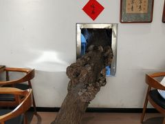 -树厨贵州菜(大十字店)