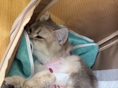-美迦爱-牙专科·兔科·骨科诊疗中心(北苑店)