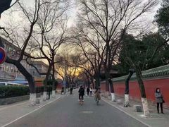 -北京国子监胡同