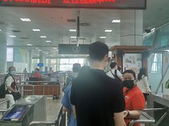 -厦门邮轮中心厦鼓码头(轮渡站)