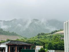 -中国宣纸文化园