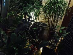 -苏沐堂全息足浴·SPA·按摩(万科美好广场店)