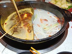 鸳鸯锅-正宗钢管厂五区·小郡肝火锅·串串香(商品街总店)