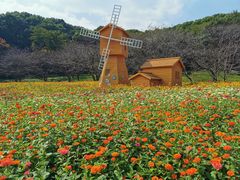 -上方山森林动物世界