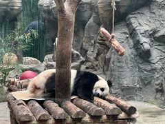 -北京海洋馆