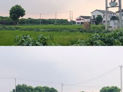 -丫丫蟹庄·苏式园林农家乐·阳澄湖大闸蟹(阳澄湖莲花岛店)