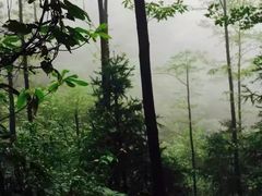 -藏龙百瀑风景区