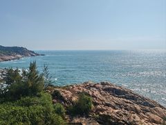 -广东惠东海龟国家级自然保护区