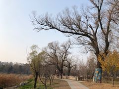 -长春净月潭风景名胜区