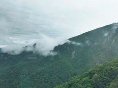 -牛背梁国家森林公园