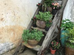 -婺源梦里老家大型山水实景演出