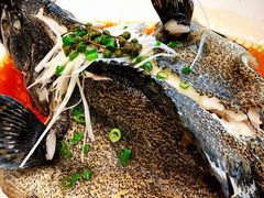 -开海·红岛海鲜虾水饺(石老人店)