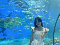 -福州罗源湾海洋世界旅游区