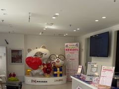 -喜多萌中农锦绣动物医院24H·猫科·牙科MRI·CT