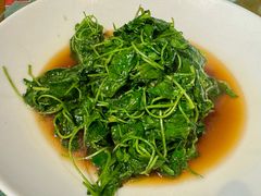 酒香草头-洪齐林老镇