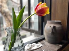 -Uncle Kosto科斯托·中东菜