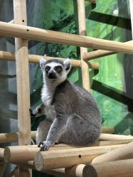 -Zoolung Zoolung动物主题公园(海信广场店)