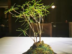 -捞天下大众火锅(水上公园店)