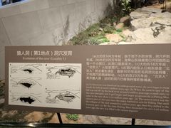 -北京周口店北京人遗址博物馆