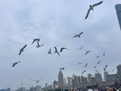 -星海广场