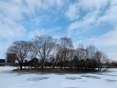 -大兴滨河森林公园