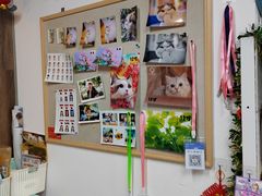 -柯达靓之彩影像网络(明瓦廊店)