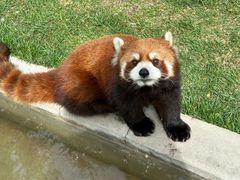 -水上乐园·欢乐世界