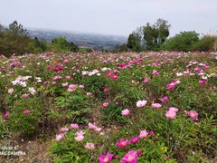 -金堂县云顶石城风景区