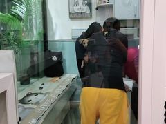 -纳吉亚猫专科动物医院·北北分院