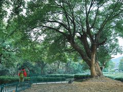 -西湖风景区十里琅珰-五云山