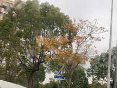 -萨莉亚意式餐厅(万嘉商业广场店)