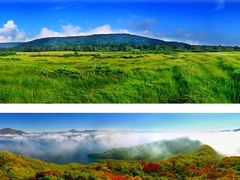 -凤凰山国家森林公园